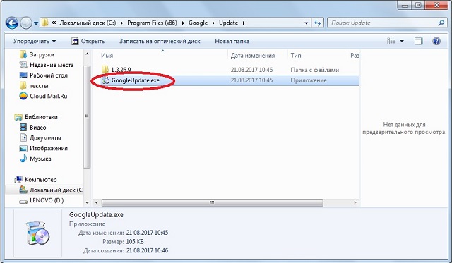 Рис. №5. Файл «GoogleUpdate», который нужно удалить