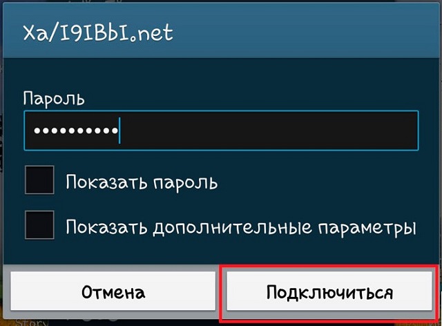 Рис. №3. Окно ввода пароля и подключения