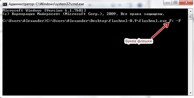 Полный вид команды запуска flashnul.exe
