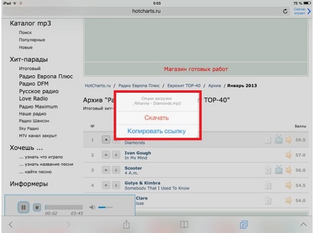 Работа приложения iDownloader