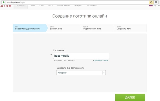 Рис. №1. Страница с указанием названия и вида деятельности в LOGASTER