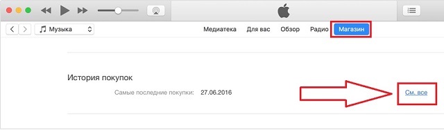 Рис. №2. Раздел «Магазин» в окне данных аккаунта