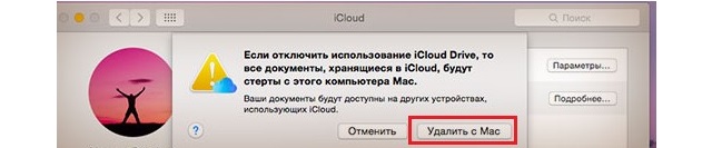 Рис. №3. Пункт «iCloud» в настройках и кнопки «Удалить…», «Оставить…» при выходе