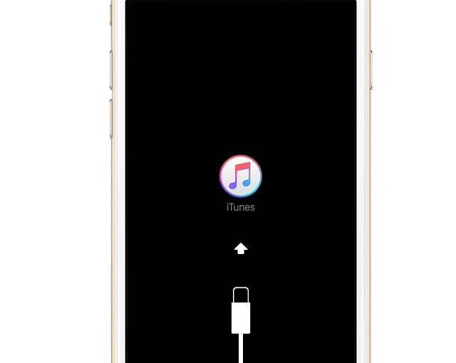 Рис. №3. Логотип iTunes на экране iPhone