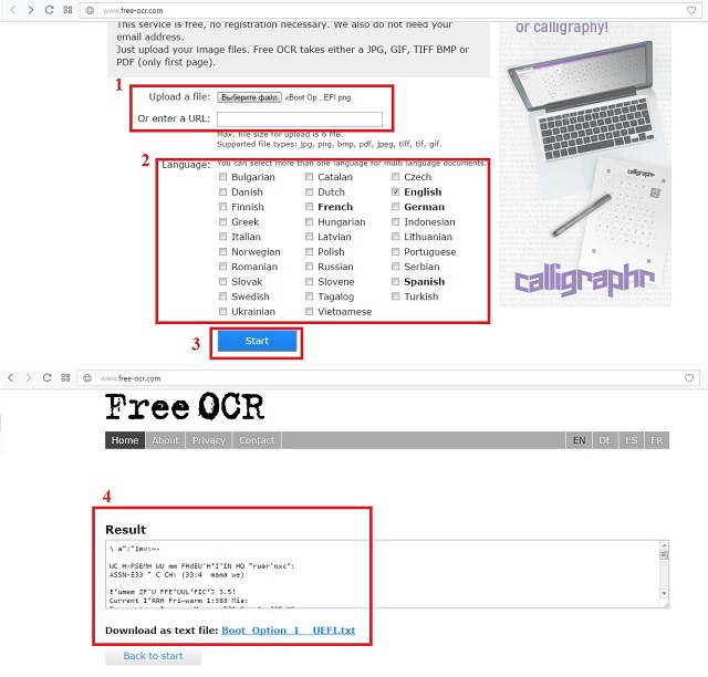 Использование Free OCR