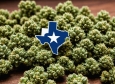 Новый законопроект: Техас может запретить продажу продуктов с THC