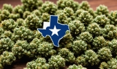 Новый законопроект: Техас может запретить продажу продуктов с THC