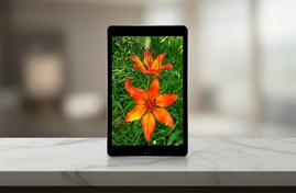 Apple iPad 9.7 (2018) — обзор планшета с поддержкой Apple Pencil