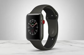 Apple Watch Series 3 Edition 42 mm: обзор умных часов с автономностью