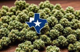 Новый законопроект: Техас может запретить продажу продуктов с THC